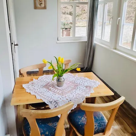 Gorska Przystan - Lesnik Guest house Karpacz